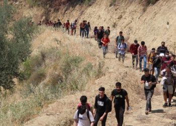 Muğla’da ormanda 72 göçmen bulundu