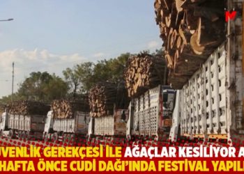 “Güvenlik gerekçesi ile ağaçlar kesiliyor ama iki hafta önce Cudi Dağı’ında festival yapıldı”