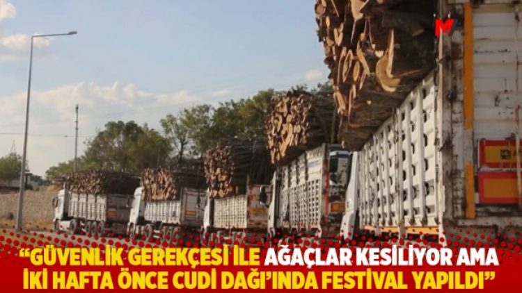 “Güvenlik gerekçesi ile ağaçlar kesiliyor ama iki hafta önce Cudi Dağı’ında festival yapıldı”
