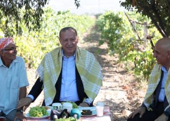 Erdoğan, kuru üzüm alım fiyatını açıkladı