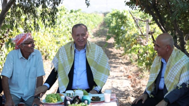 Erdoğan, kuru üzüm alım fiyatını açıkladı