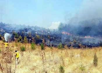 Manisa’da orman yangını: 5 dönüm alan zarar gördü