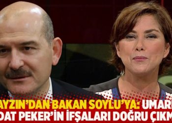 Payzın’dan Soylu’ya: Umarım Sedat Peker’in ifşaları doğru çıkmaz