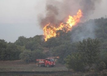 Manisa’nın Kula ilçesinde orman yangını çıktı