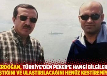 “Erdoğan, Türkiye’den Peker’e hangi bilgilerin ulaştığını ve ulaştırılacağını henüz kestiremiyor”