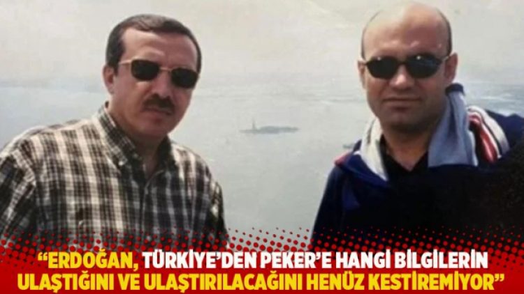 “Erdoğan, Türkiye’den Peker’e hangi bilgilerin ulaştığını ve ulaştırılacağını henüz kestiremiyor”