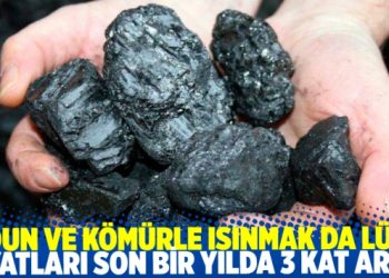 Odun ve kömürle ısınmak da lüks oldu