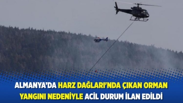 Almanya’da Harz Dağları’nda çıkan orman yangını nedeniyle acil durum ilan edildi