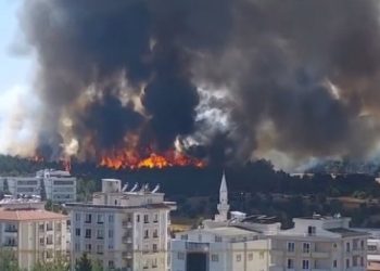Gaziantep’te orman yangını