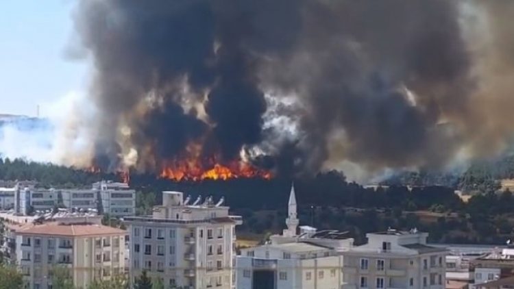 Gaziantep’te orman yangını