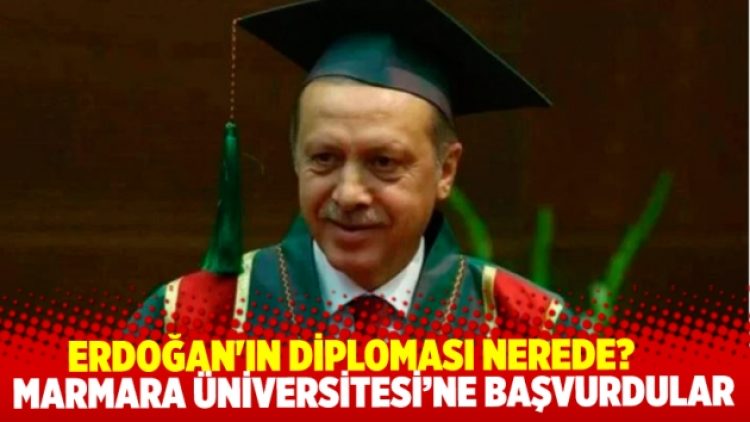Erdoğan’ın diplomasıyla ilgili yeni girişim