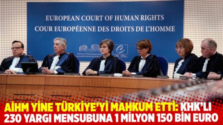 AİHM yine mahkum etti: