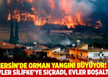 Mersin’de saatlerdir süren orman yangını büyüyor!
