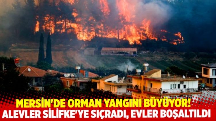 Mersin’de saatlerdir süren orman yangını büyüyor!