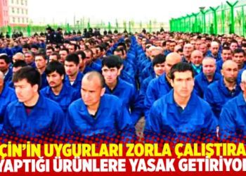 AB, Uygur kamplarında zorla çalıştırma ile üretilen ürünlere yasak getiriyor