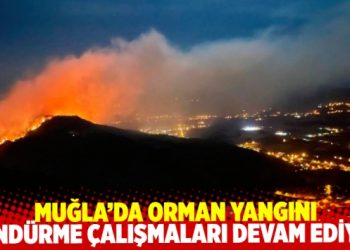 Muğla Gökova’daki orman yangını devam ediyor