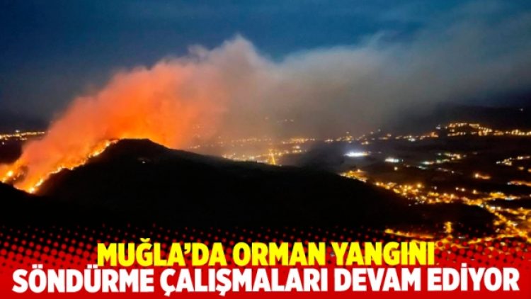 Muğla Gökova’daki orman yangını devam ediyor