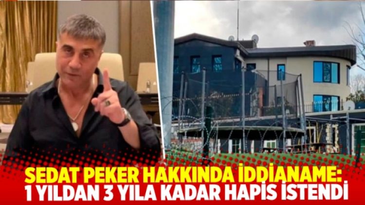 Sedat Peker hakkında iddianame hazırlandı: 1 yıldan 3 yıla kadar hapis istendi