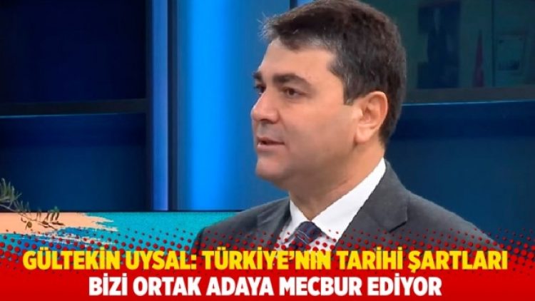 Gültekin Uysal: Türkiye’nin tarihi şartları bizi ortak adaya mecbur ediyor
