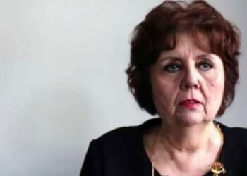 Referandum Türkiye için ‘ köprüden önce son çıkış’