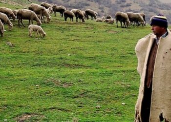 Şimdi de “tarım imamı” icad ettiler