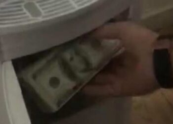 Göçmen kaçakçılarının sebilinden servet çıktı!