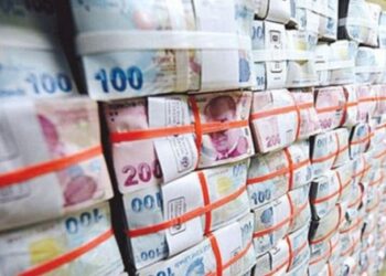 Bir dev kurum daha Varlık Fonu’na devredildi