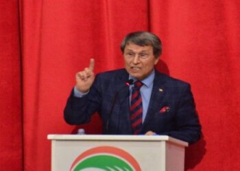 Prof. Dr. Halaçoğlu: Türk tipi bir başkanlık sistemi yok