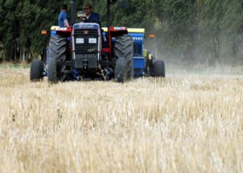 ​Borçlarını ödeyemeyen iki çiftçi böbreklerini satışa çıkardı!