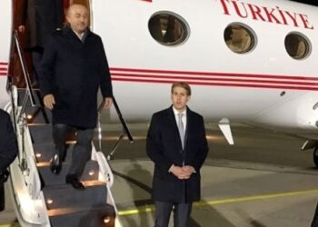 “Hollanda krizi mükemmel bir devekuşu senaryosudur!”