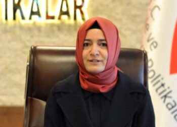 Bakan Kaya’nın hiçbir hedefi tutmadı!