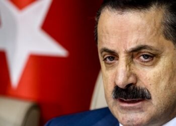 Faruk Çelik: 112 üründe GDO tespit edildi