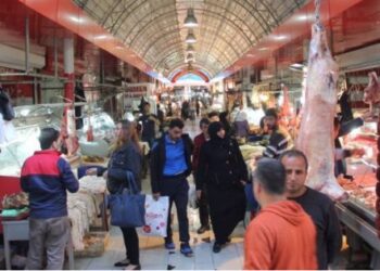 Memleketin özeti: ŞIRDAN bulunamıyor