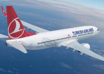 THY eridikçe eriyor! Şimdi de bagaja para alacak!