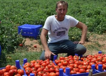 Başkanlık geldi domates 10 Lira