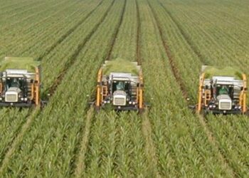 40 milyon dekar tarım alanı yok oldu!