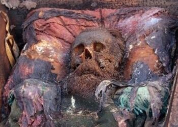 O ceset Yarbay Karl Karloviç’e ait çıktı