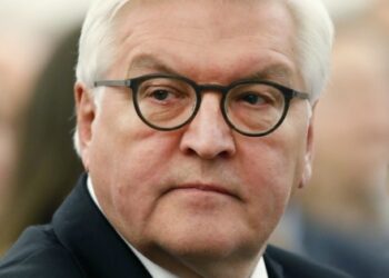 Alman Cumhurbaşkanı’ndan sert eleştiri