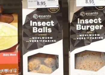 ​İsviçre’de ‘böcekburger’ satışta!