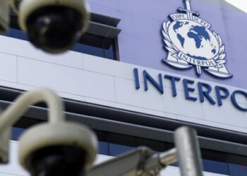 Almanya’dan kritik hamle! İnterpol’ü uyaracak