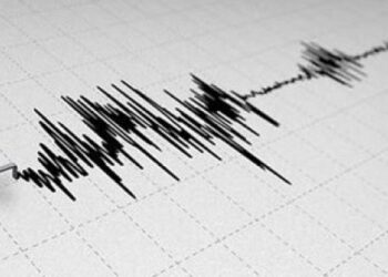 Halepçe’de 4,9 şiddetinde deprem..