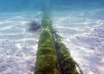 “Ruslar deniz altındaki internet kablolarını kesebilirler”