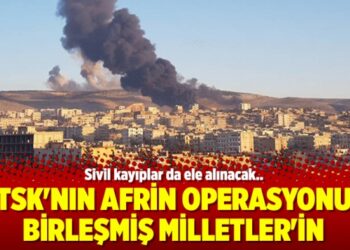 TSK’nın Afrin operasyonu Birleşmiş Milletler’in gündeminde