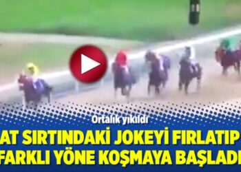 At sırtındaki jokeyi fırlatıp farklı yöne koşmaya başladı