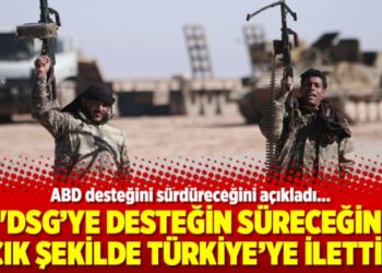 “DSG’ye desteğin süreceğini açık şekilde Türkiye’ye ilettik”