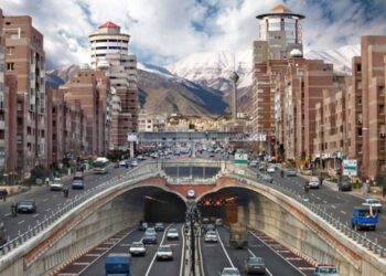 ​Şehri fareler bastı! Sayısı 50 milyonu aştı…