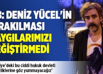 AB: Deniz Yücel’in bırakılması kaygılarımızı değiştirmedi