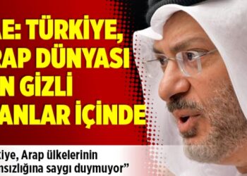 BAE: Türkiye, Arap dünyası için gizli planlar içinde