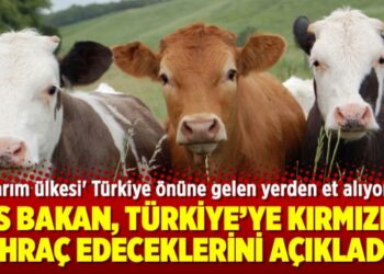 Rus Bakan, Türkiye’ye kırmızı et ihraç edeceklerini açıkladı