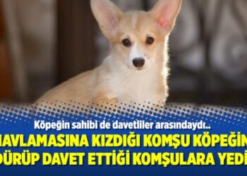 Havlamasına kızdığı komşu köpeğini öldürüp davet ettiği komşulara yedirdi